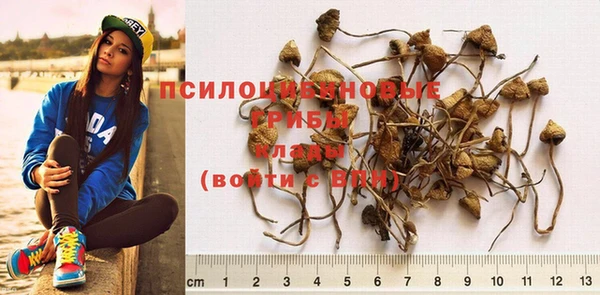 дурь Михайловка