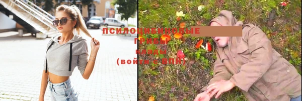 мет Михайловск