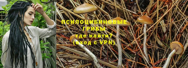дурь Михайловка