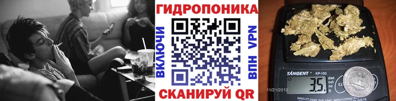 Купить где  Кадников  Бошки Шишки гибрид 